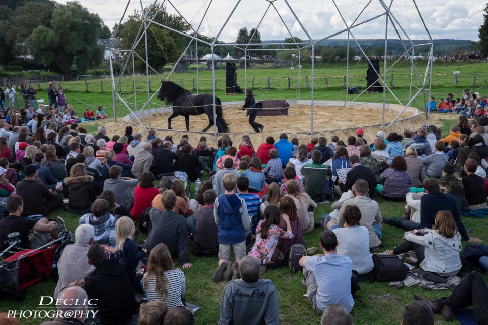 spectacle equestre cheveaux chassepierre arstite de rue