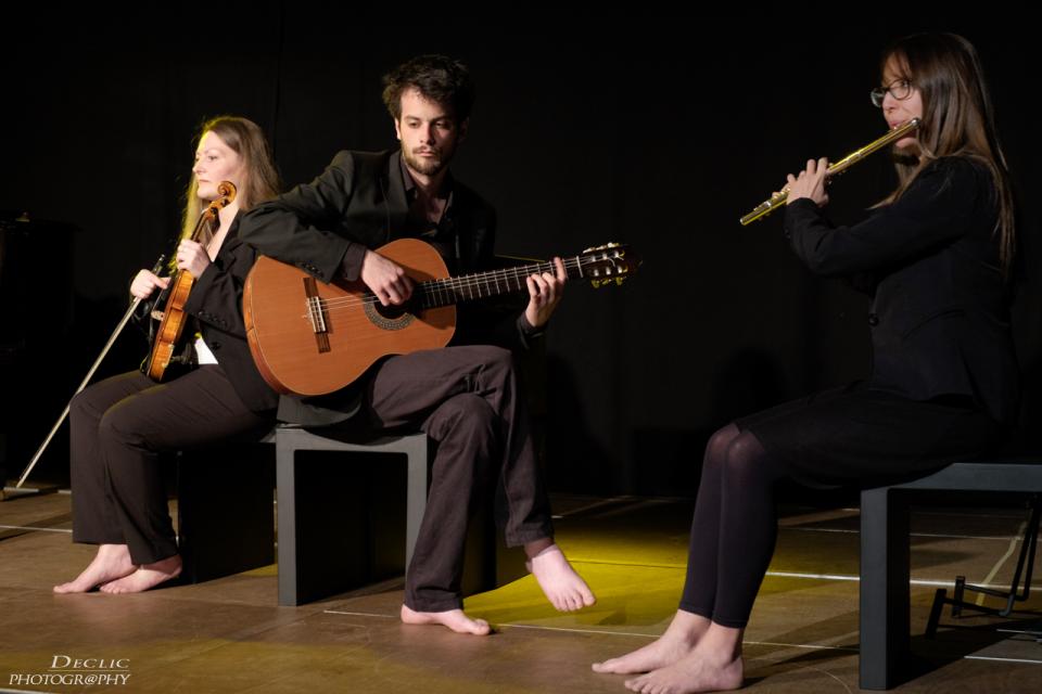 musiciens academie st-gilles declamation