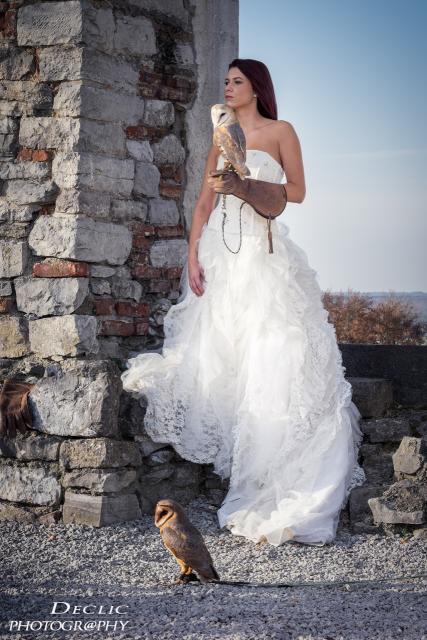 robe de mariée accompagnées de rapaces