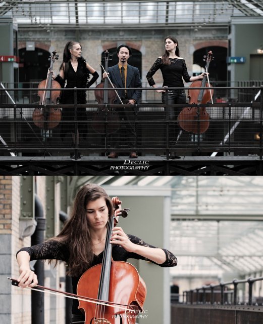 Trio Violoncelliste concert portrait